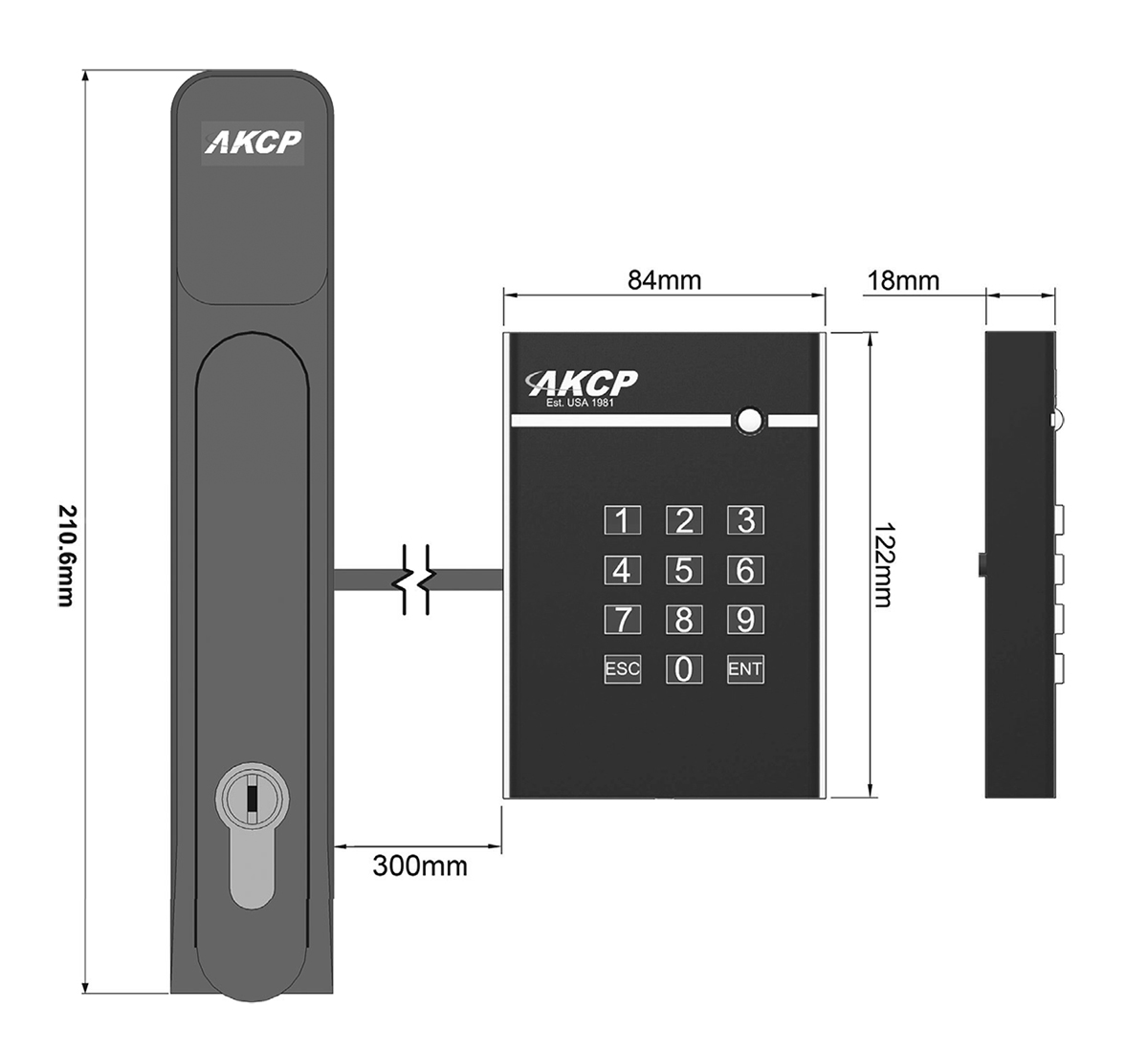 AKCP - SHL-DA-01 - Schwenkgriffschloss mit doppelter Authentifizierung